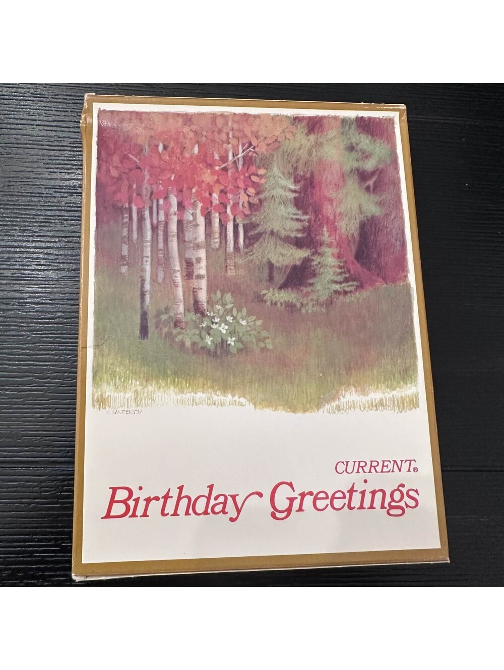 Vintage Current Birthday Greetings Note Cards Forest Trees Factory Sealed